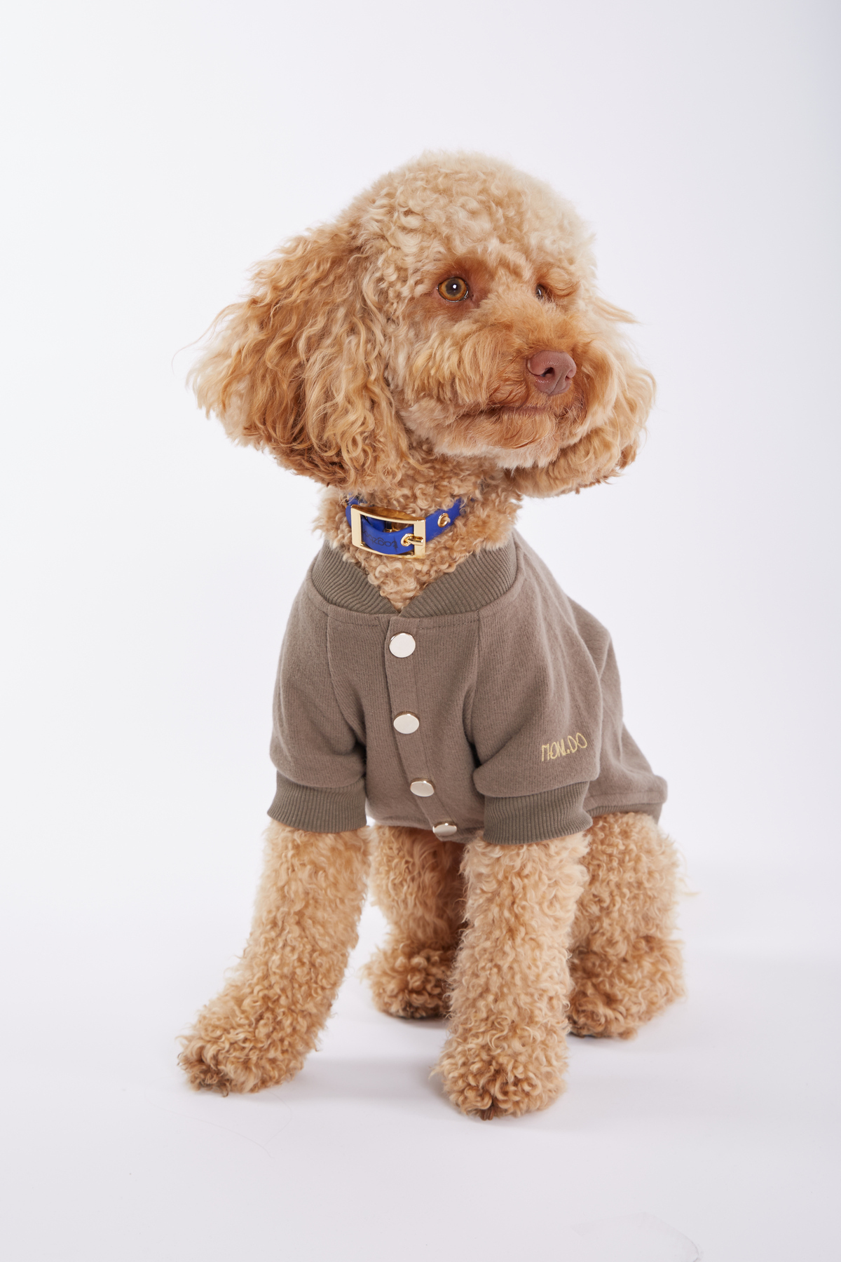 کاپشن کالج سگ مونیدو Monido Iconic با نوشته شعاری، خاکی