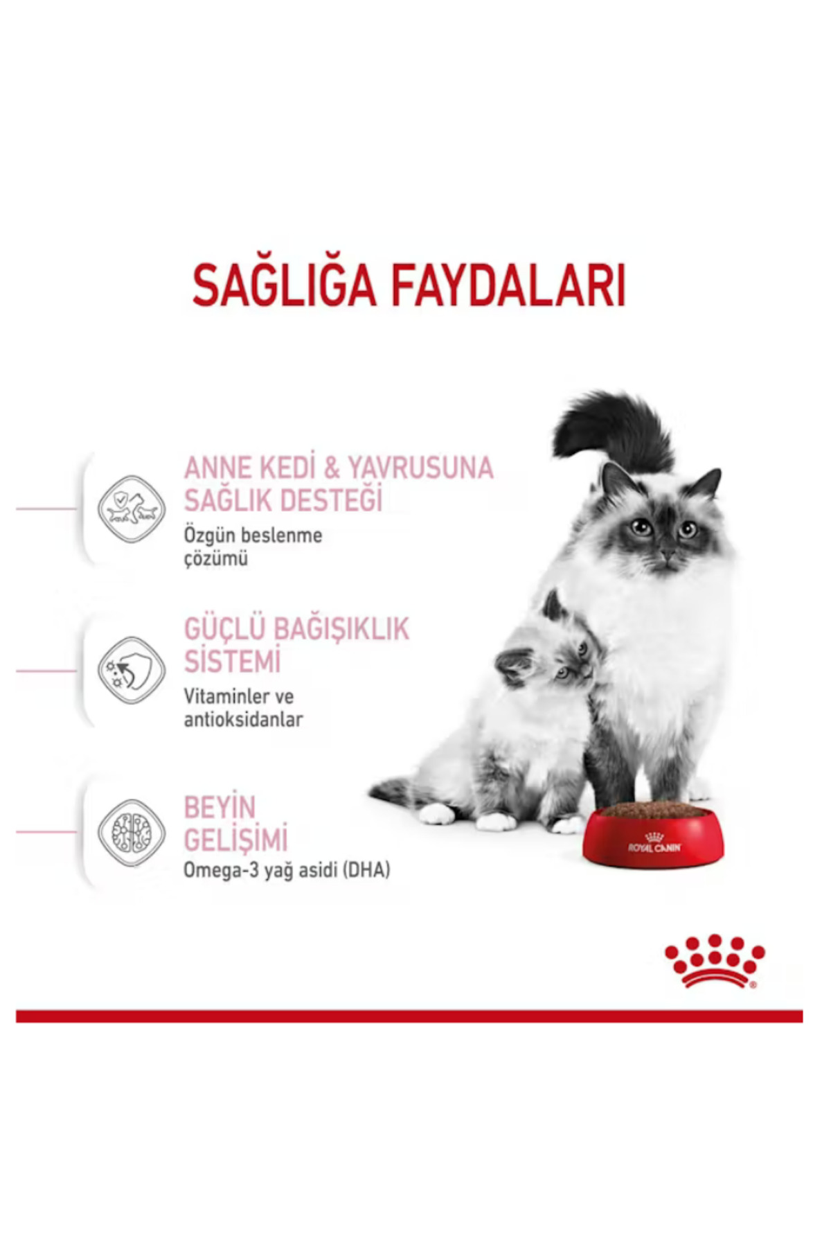 غذای خشک گربه مادر باردار و شیرده و بچه‌گربه، ۴۰۰ گرم، رویال کنین Royal Canin Mother & Babycat