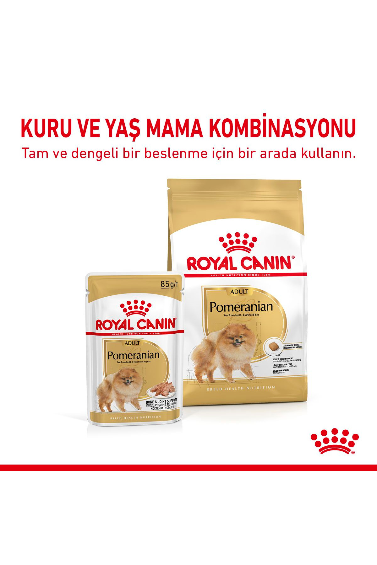 غذای خشک سگ پامرانیان رویال کنین Royal Canin، ۳ کیلوگرم