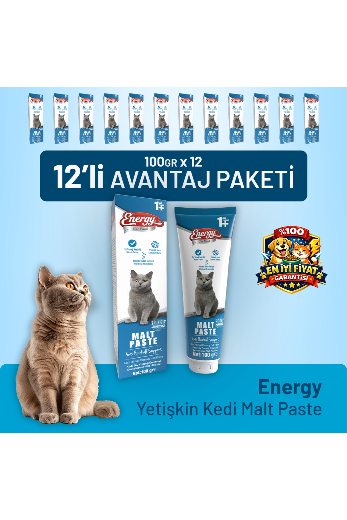 خمیر مالت گربه بالغ ۱۰۰ گرمی، بسته ۱۲ عددی کت فود انرژی Cat Food Energy