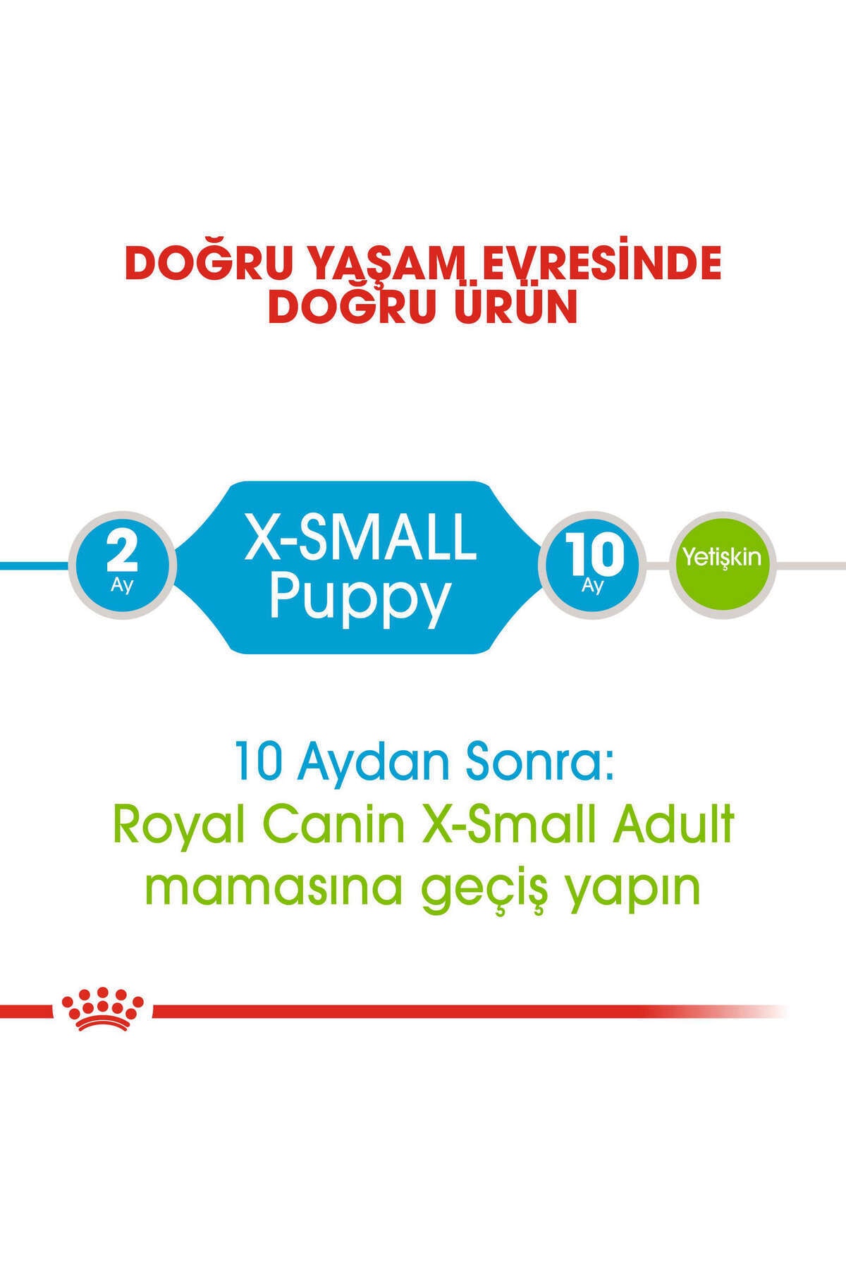 غذای خشک سگ Xsmall Puppy رویال کنین Royal Canin، ۳ کیلوگرم