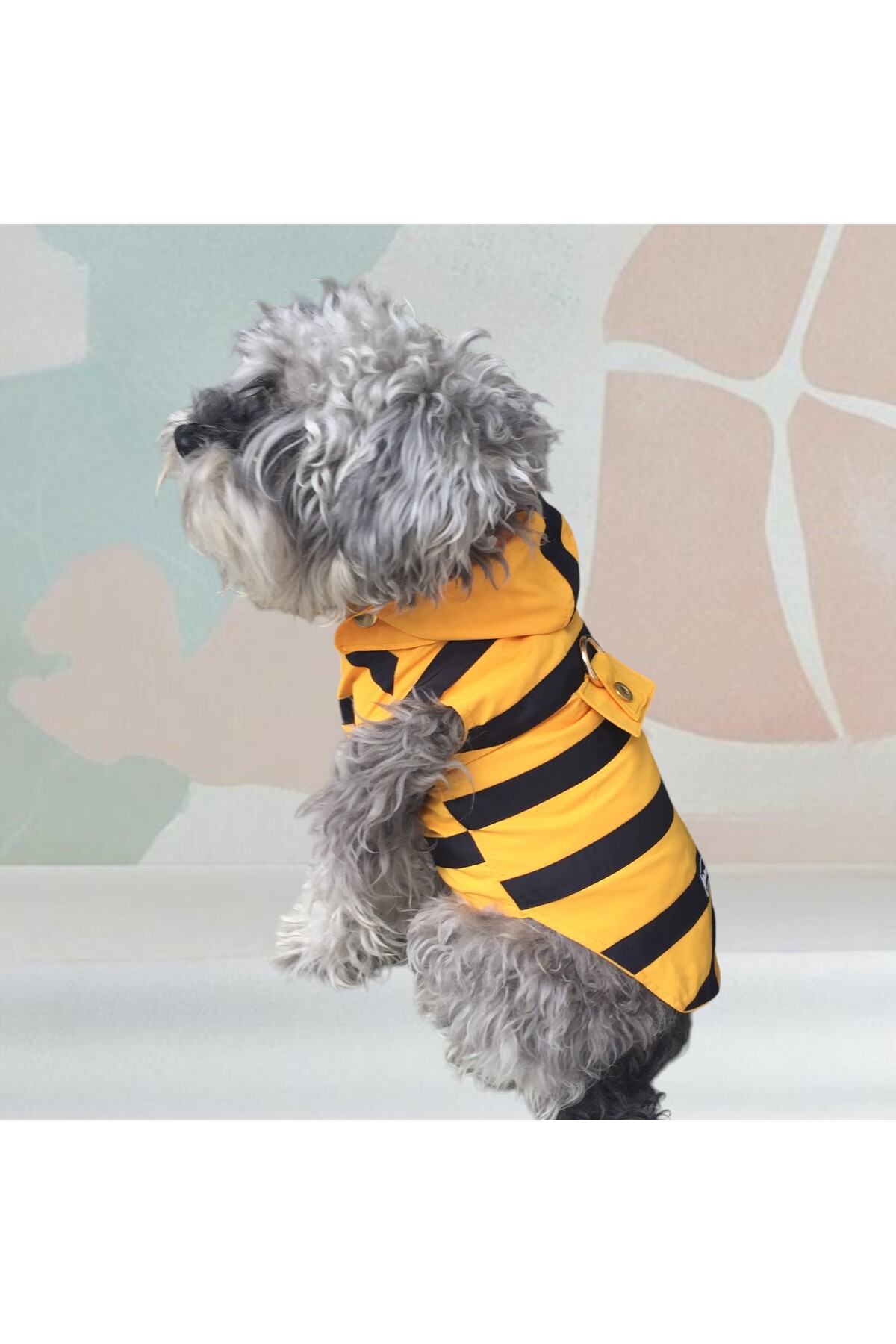 بارانی سگ لولو دِ اربن پاپ Lulu The Urban Pup، راه‌راه، مشکی و زرد