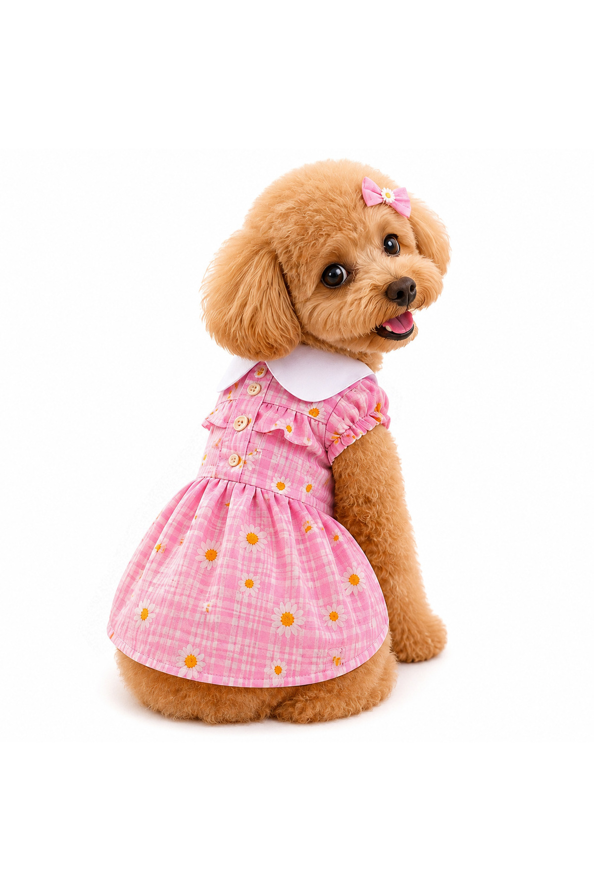 پیراهن یقه‌دار طرح گل‌مینا برای سگ و گربه دولچه پتس Dolce Pets مدل DPE008