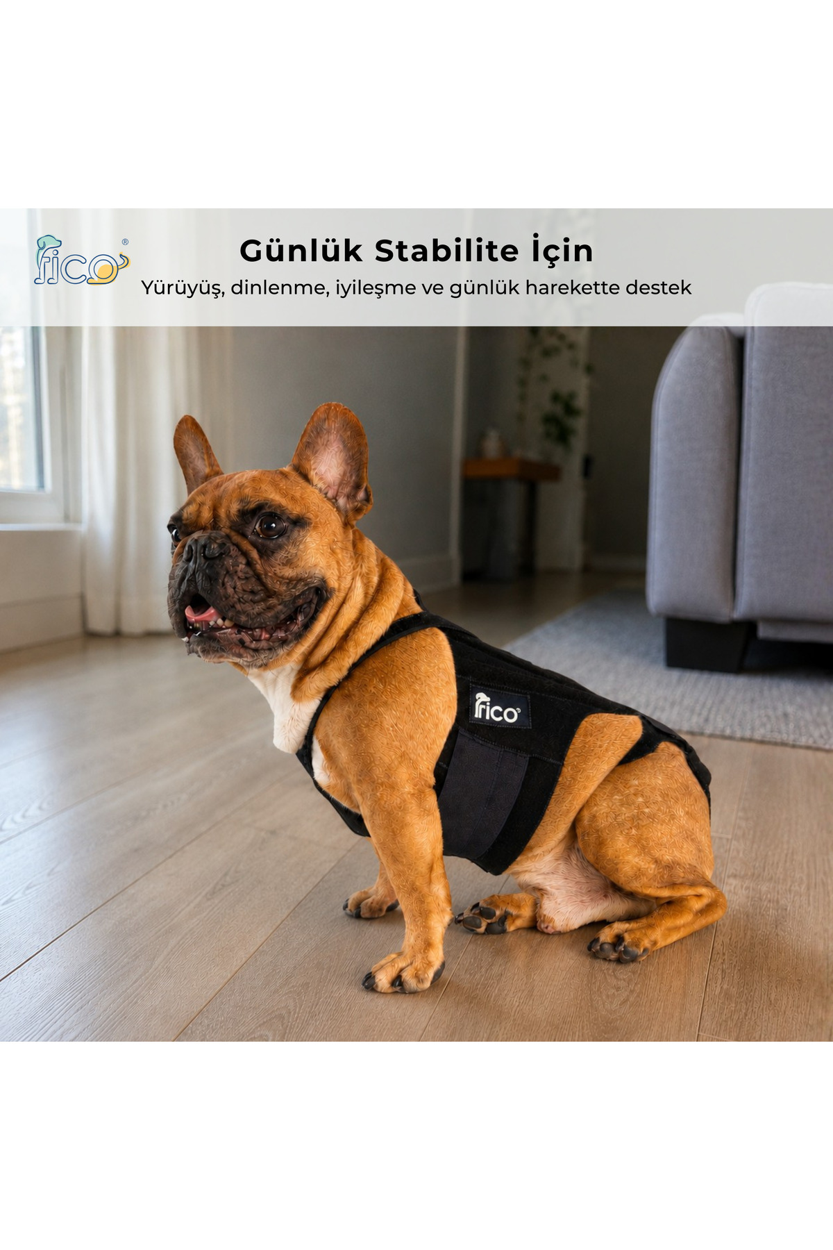 کرست حمایت از پشت سگ فیکو پتس Fico pets IVDD، مدل BB، سرمه‌ای