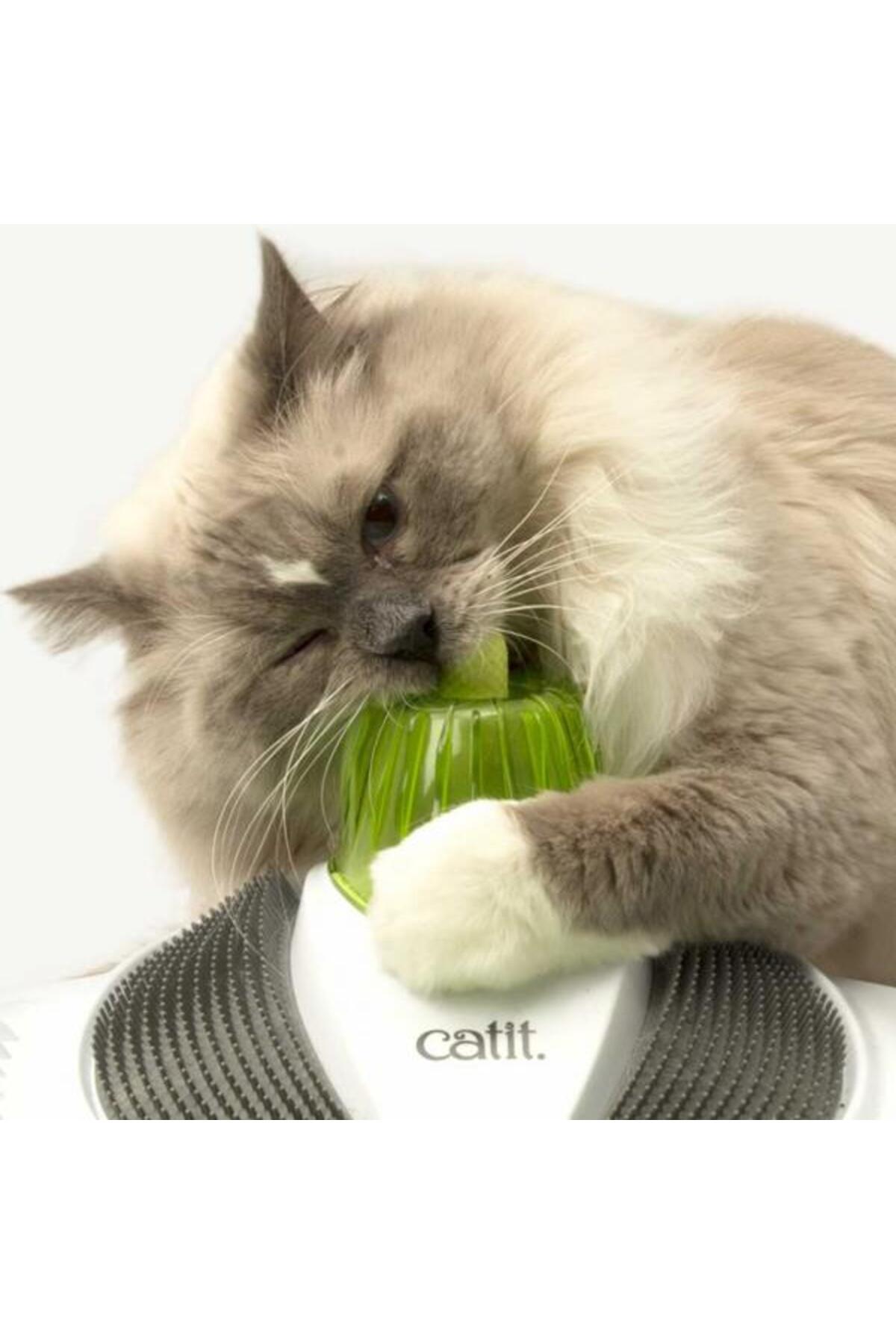 اسباب‌بازی گربه کاتیت Catit مدل 1465570، چندرنگ