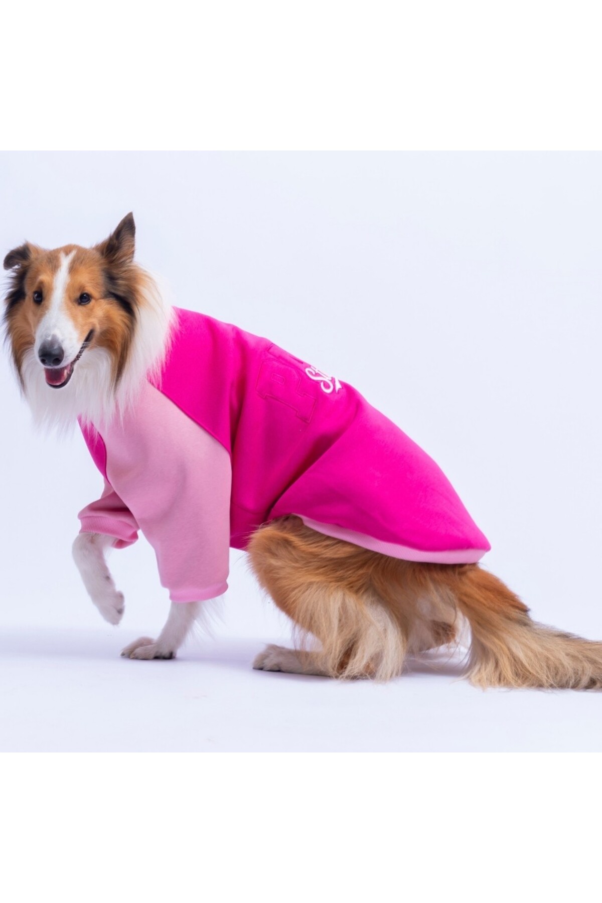 سویشرت سگ پاوستار Pawstar Boston صورتی برای نژادهای متوسط و بزرگ