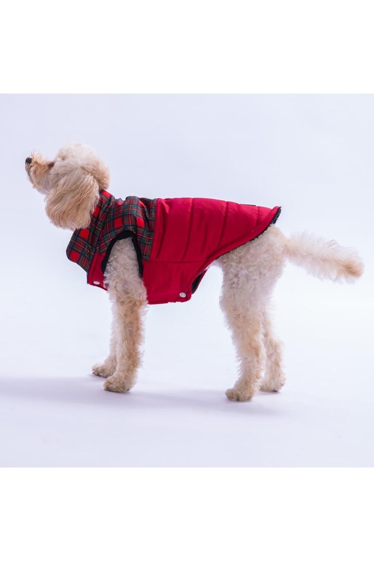 جلیقه سگ پاوستار Pawstar Elgin Paws مدل PS25-1091، قرمز با طرح چهارخانه