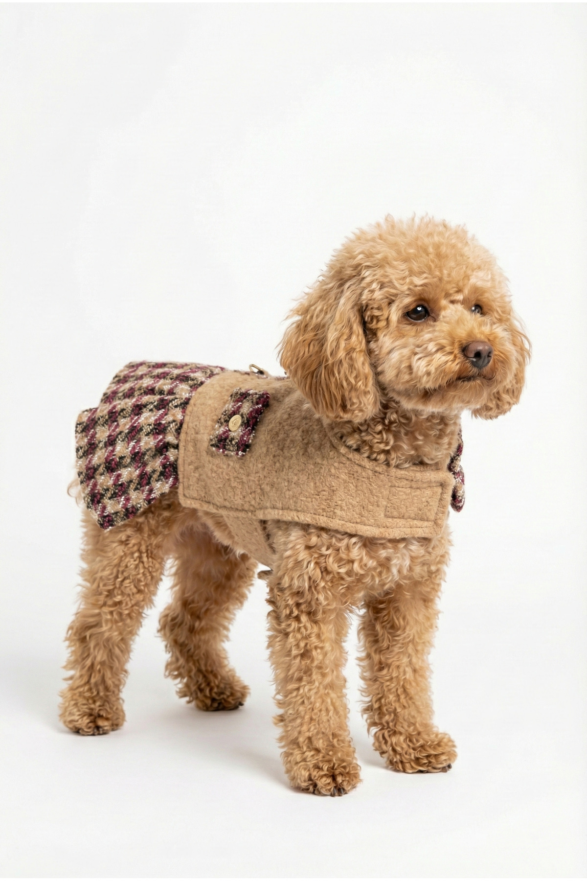 لباس سگ نوبل‌داگ NobleDog مدل BukletElbise، بژ