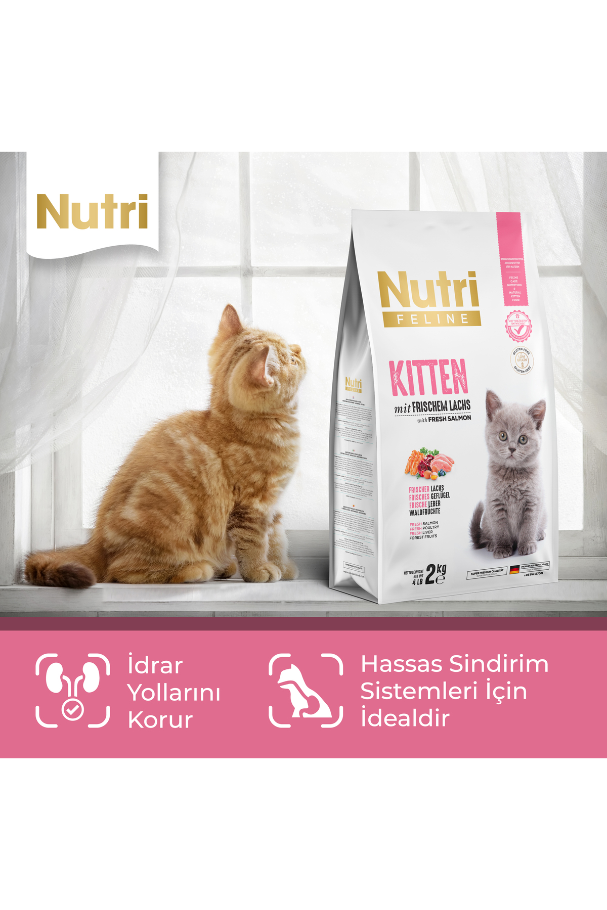 غذای خشک بچه‌گربه نوتری فیلین nutrifeline (Nutri Feline) با سالمون تازه، بدون گلوتن، ۲ کیلوگرم