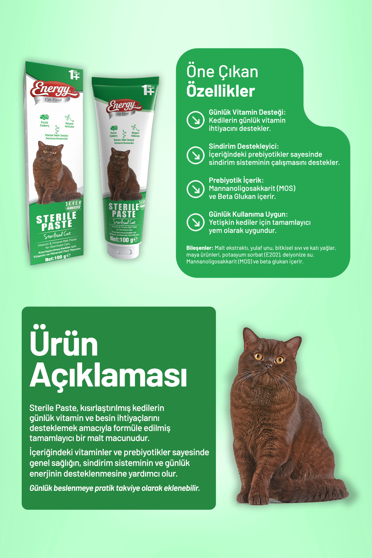 خمیر گربه‌های عقیم‌شده کت فود انرژی Cat Food Energy، ۱۰۰ گرم، بسته ۲۴ عددی
