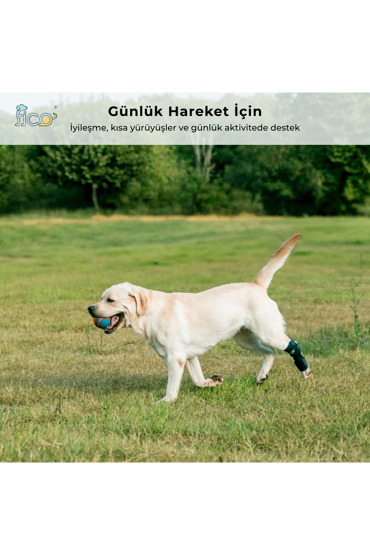 ارتز مچ پای عقب سگ فیکو پتس Fico pets، مدل HB، پارچه‌ای سرمه‌ای