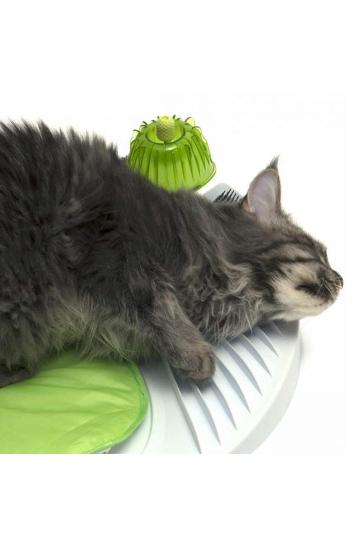 اسباب‌بازی گربه کاتیت Catit مدل 1465570، چندرنگ