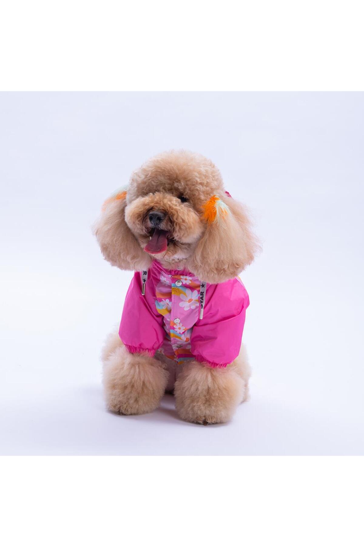بارانی سگ پاوستار Pawstar Florence Daisy صورتی با طرح گل مینا، مدل PS25-1081