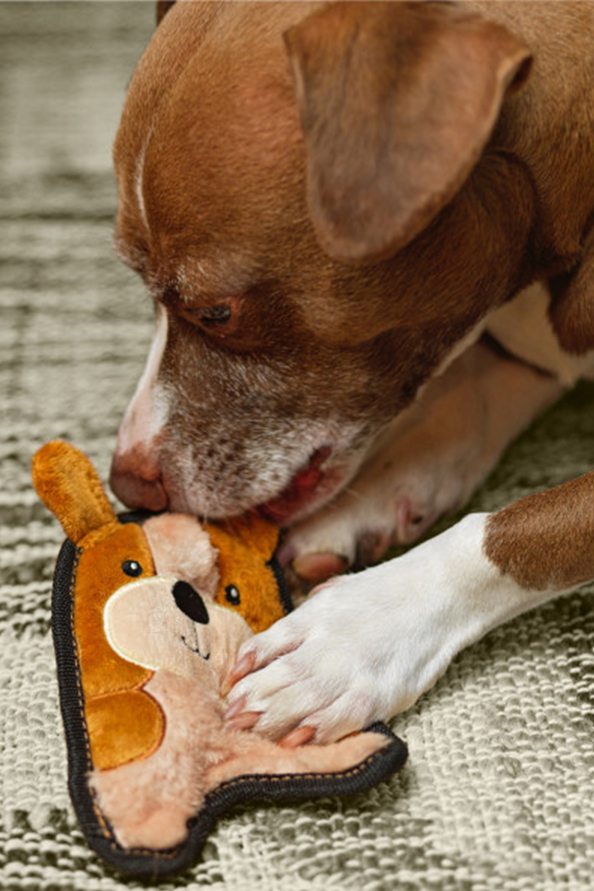 اسباب‌بازی سگ توله‌سگ اوت‌وارد هاند Outward Hound، سری Invincibles Durablez Puppy، مدل Xsmall چندرنگ