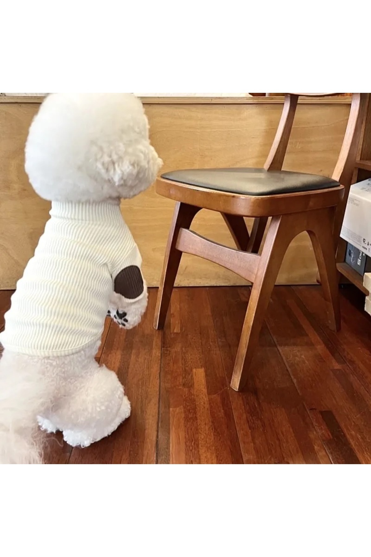 ژاکت سگ دولچه پتس Dolce Pets مدل DPK001، سفید
