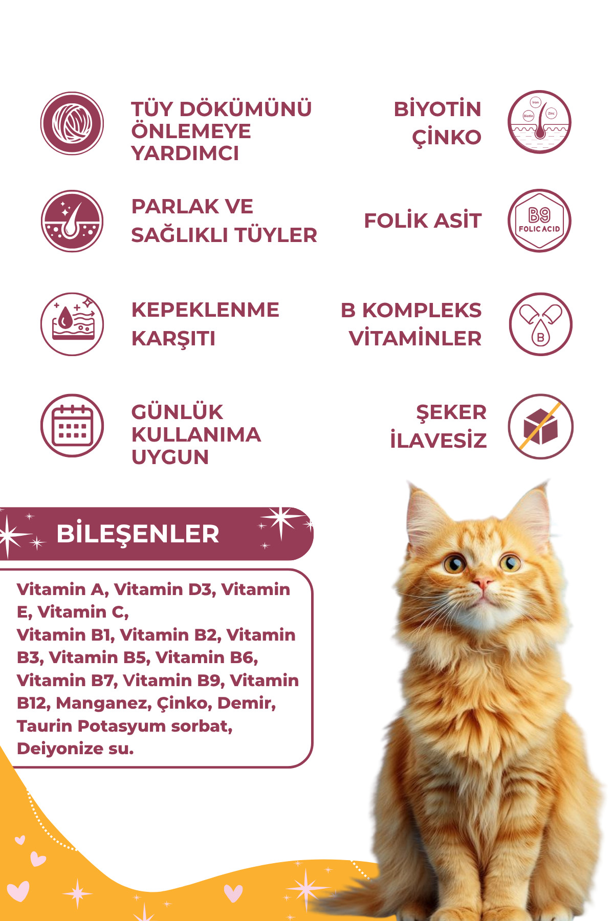 قطره پوست و موی گربه پلاس B کت‌جوی CATJOY، ۵۰ میلی‌لیتر