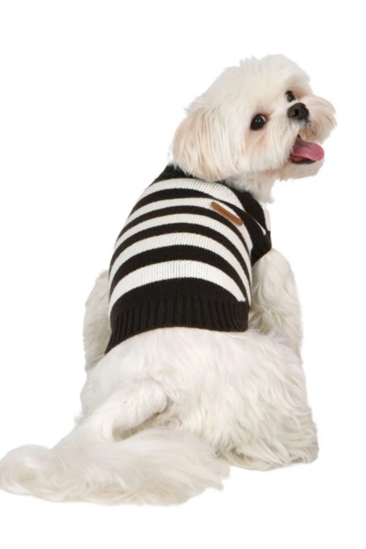 لباس سگ Ollie خاکستری، پوپیا Puppia، مدل PAWD-TS6491