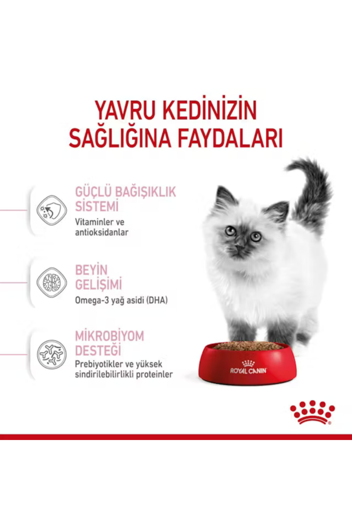 غذای خشک بچه‌گربه رویال کنین Royal Canin با طعم طیور، ۲ کیلوگرم