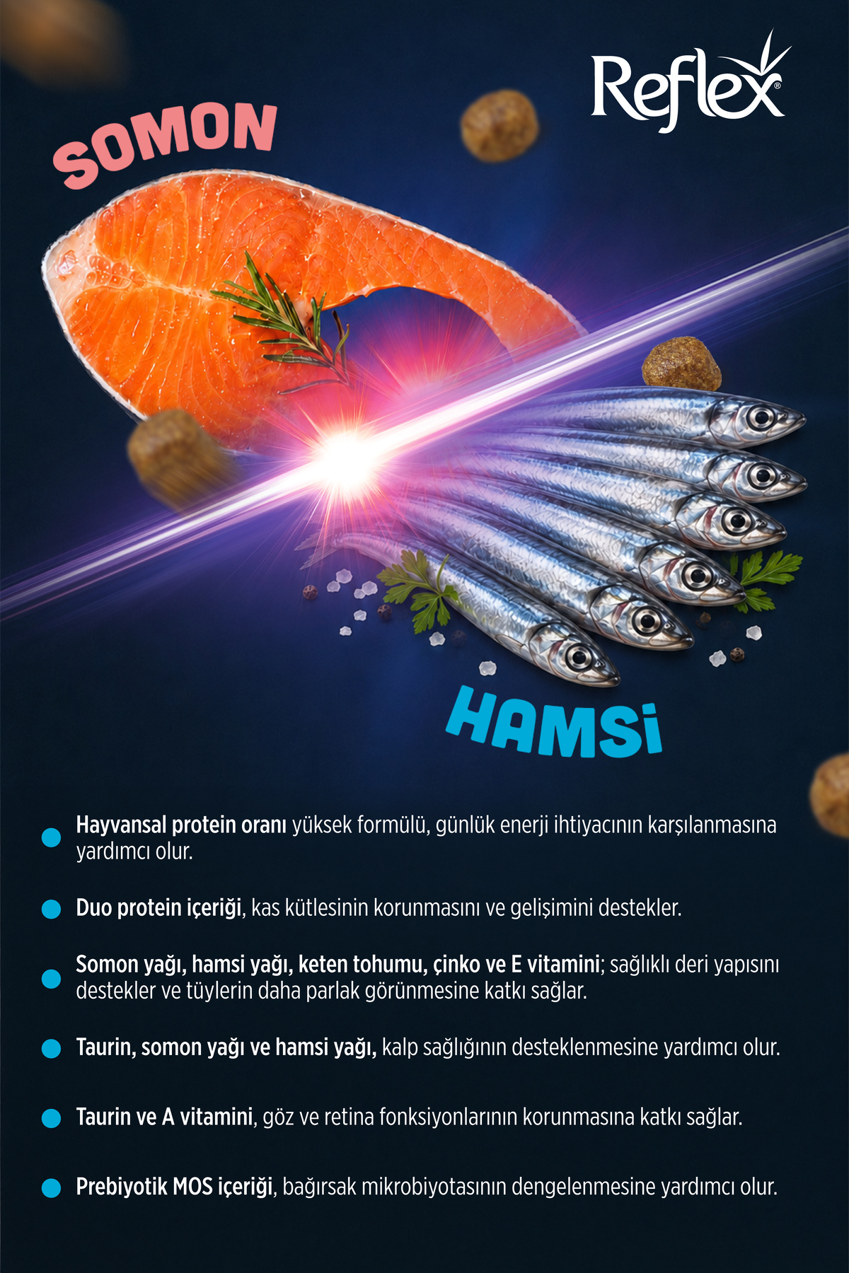غذای خشک گربه بالغ رفلکس Reflex با سالمون و آنچوی، ۲ کیلوگرم