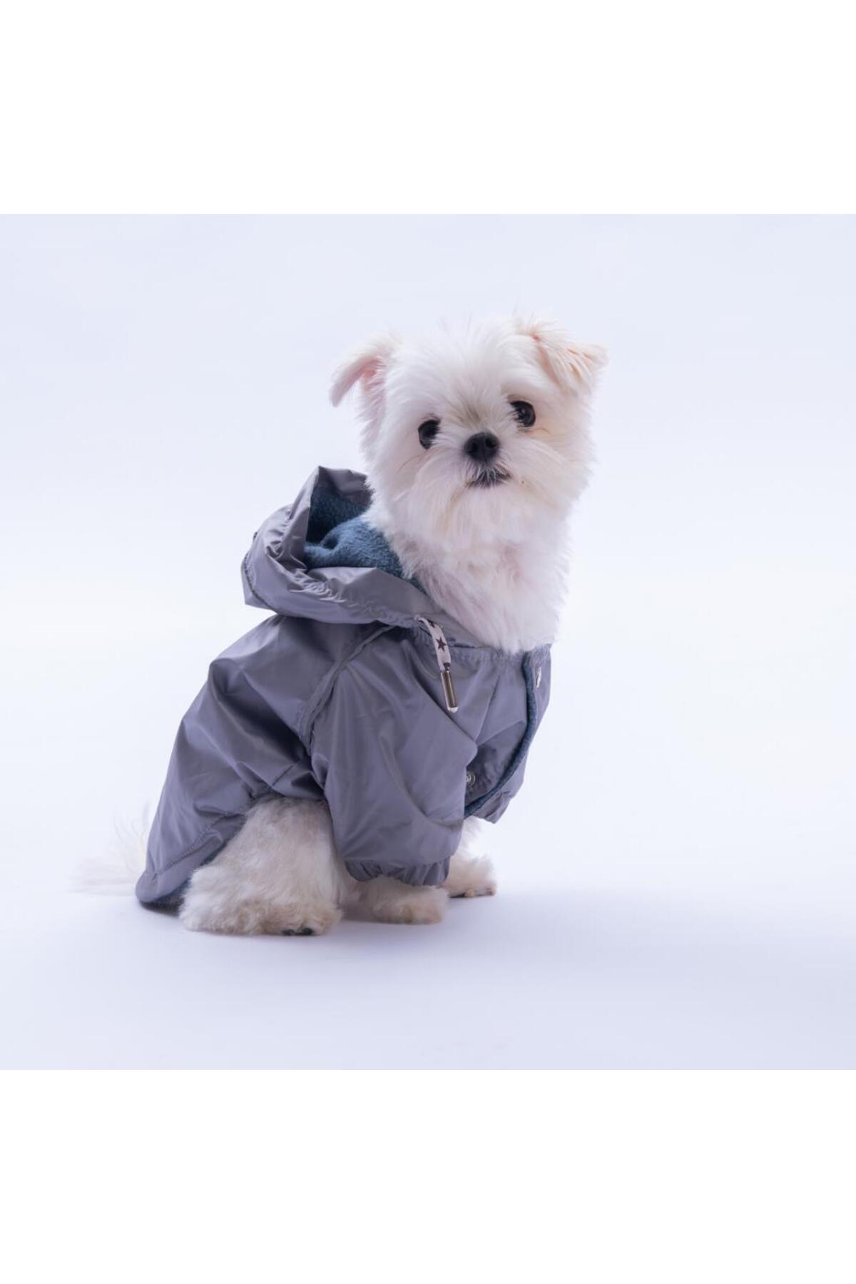 بارانی سگ پاوستار Pawstar Pluvia v25، خاکستری