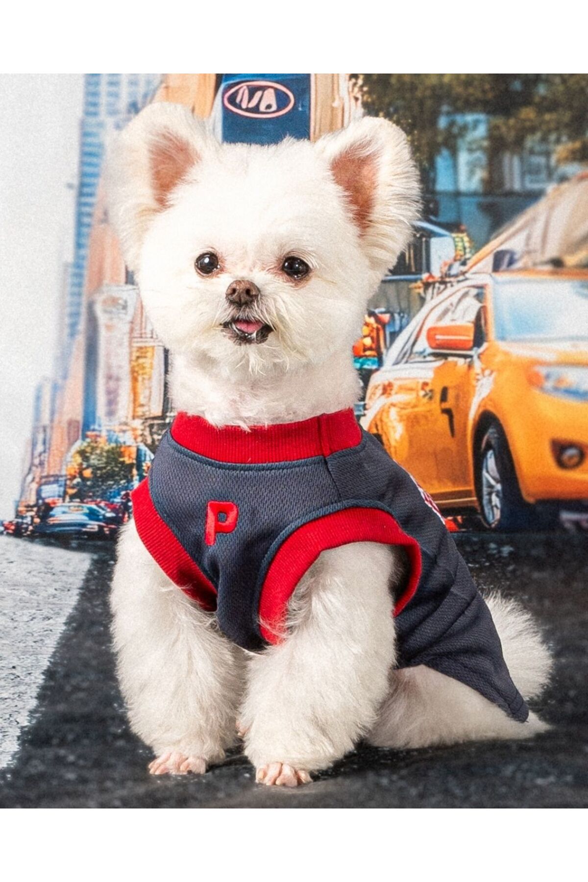 لباس سگ پوپیا Puppia مدل Hooper، خاکستری
