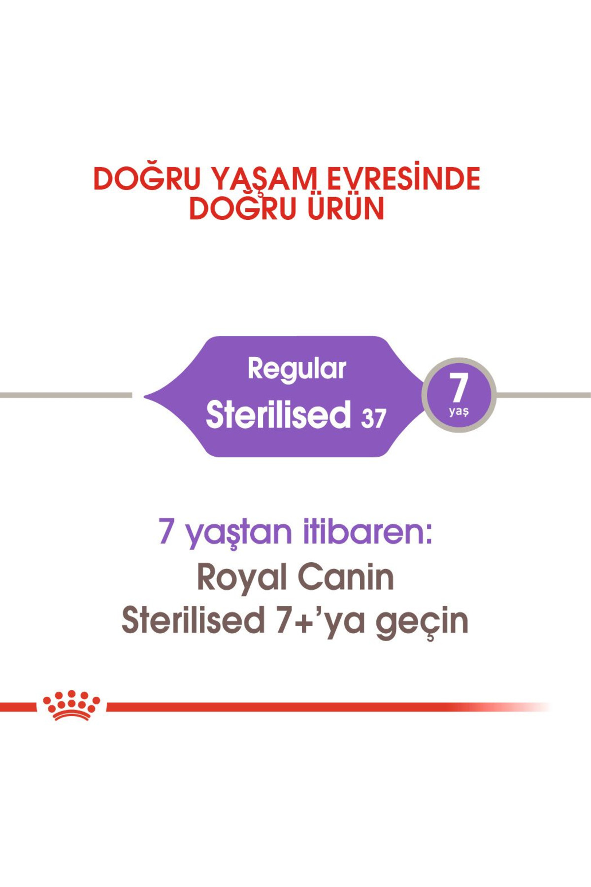 غذای خشک گربه رویال کنین Royal Canin Sterilised37 برای گربه‌های عقیم‌شده، ۲ کیلوگرم
