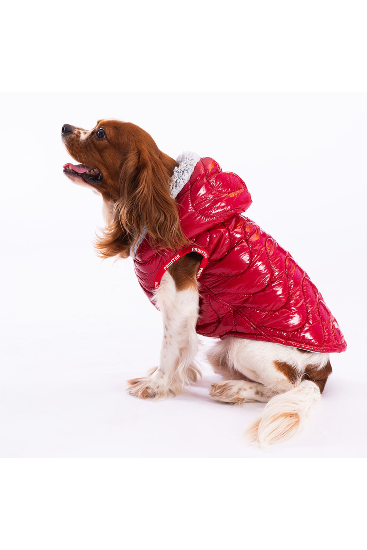 جلیقه بارانی سگ پاواستار Pawstar Light Wave Anorak مدل LW2310، قرمز