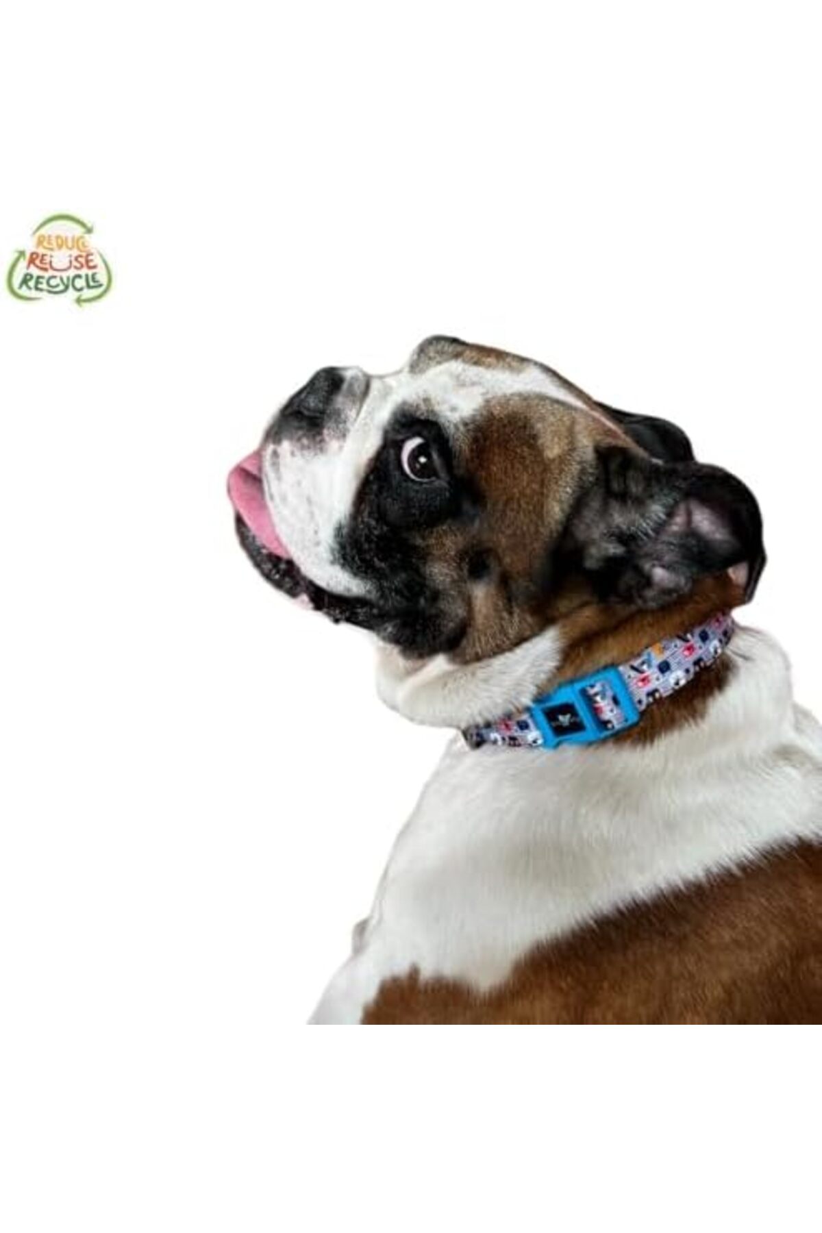 قلاده گردنی سگ ییلدیزان Yıldızan، srdshop، بازیافتی و قابل تنظیم با سگک ایمنی