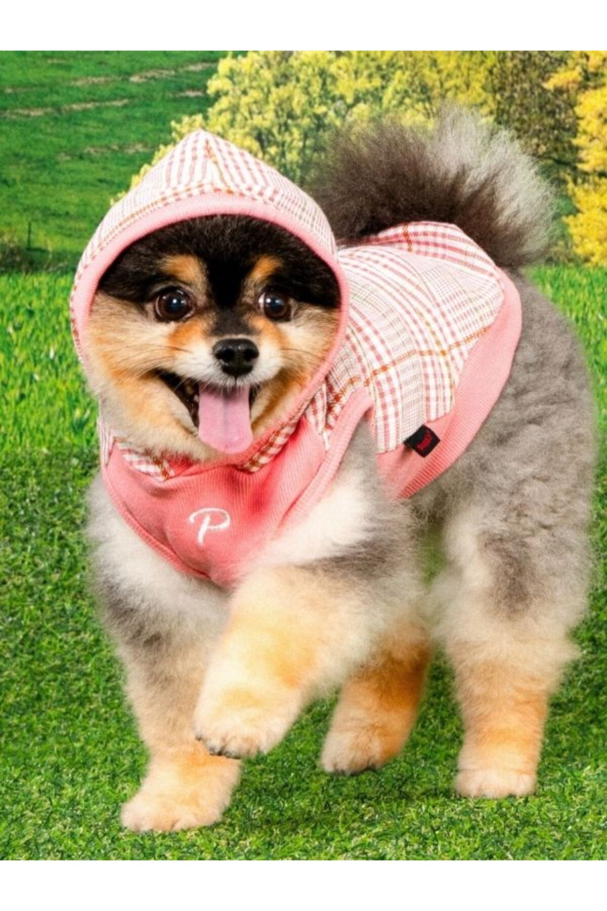 هودی سگ Daylan پوپیا Puppia، صورتی، مدل PAZA-TS2176