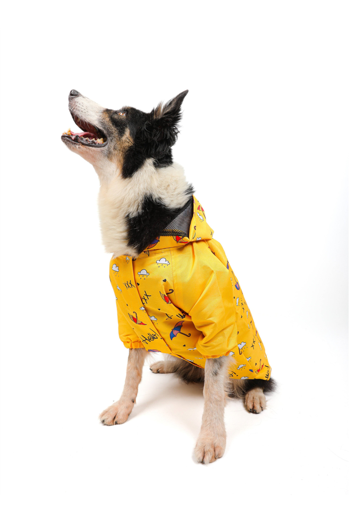 بارانی سگ تارپاز TARPAWS مدل Umbrella، زرد