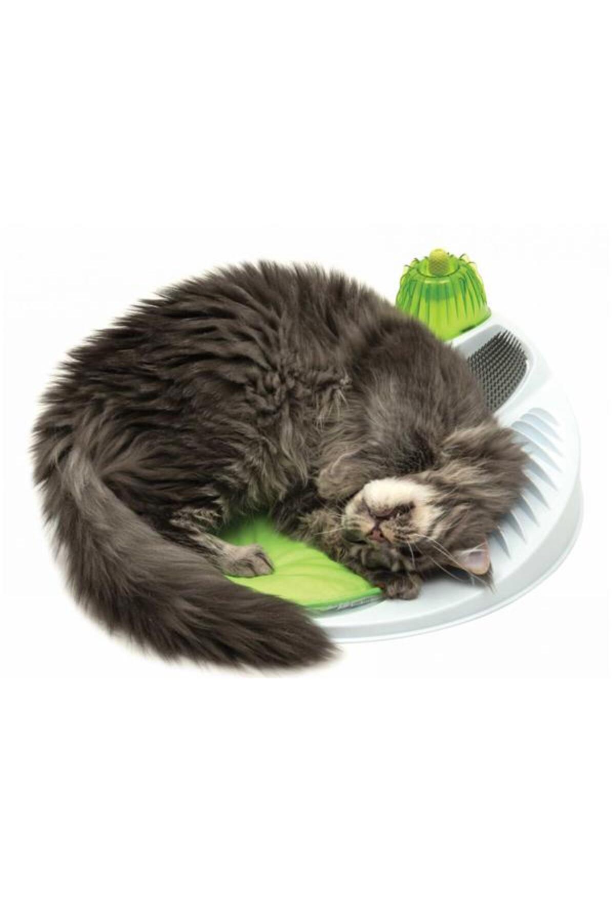 اسباب‌بازی گربه کاتیت Catit مدل 1465570، چندرنگ