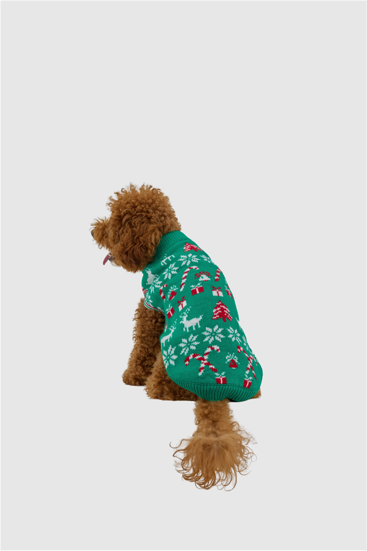 لباس بافتنی سگ تارپاز TARPAWS Merry Green، سبز