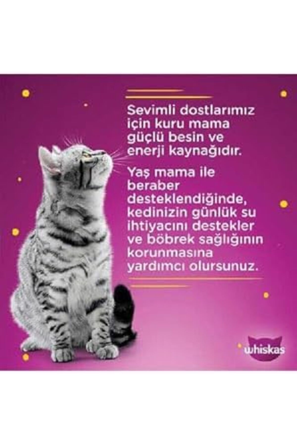 غذای پاکتی گربه بالغ ویسکاس Whiskas Pure Delight مرغ و سالمون در ژله، ۴×۸۵ گرم