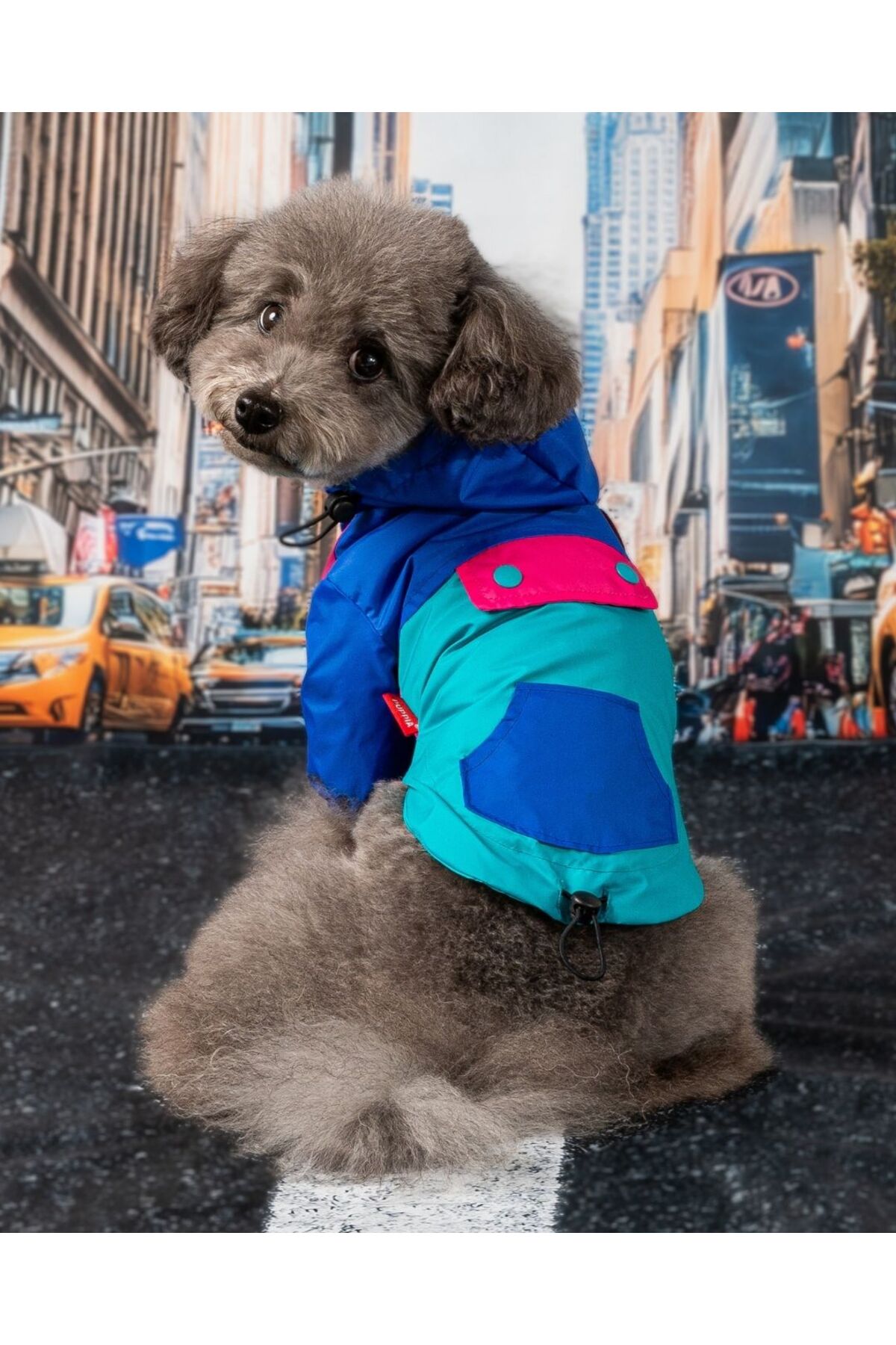 بارانی سگ پوپیا Puppia Rover، مدل PBAA-RM2307، آبی