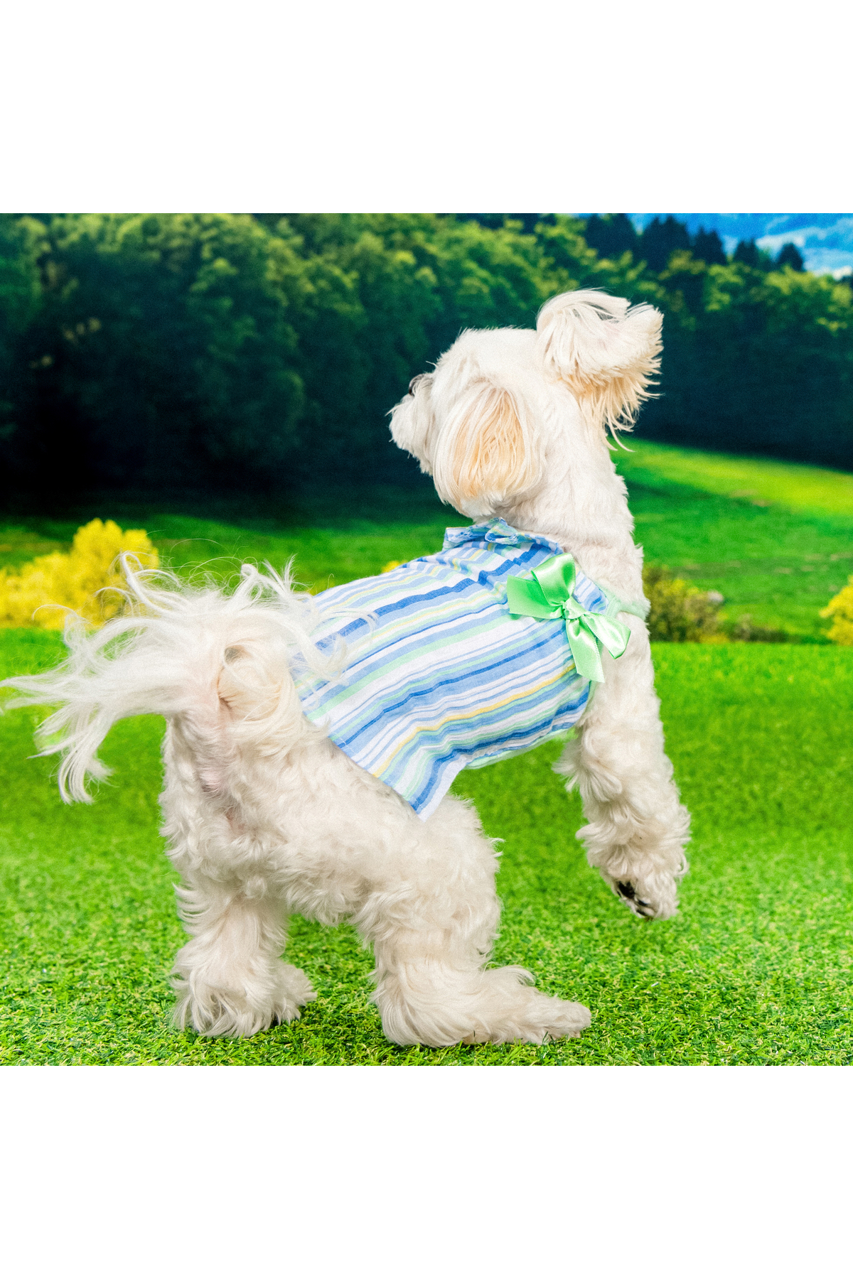 پیراهن تابستانی سگ Sarra از پوپیا Puppia، مدل PAZB-TS2194، فیروزه‌ای