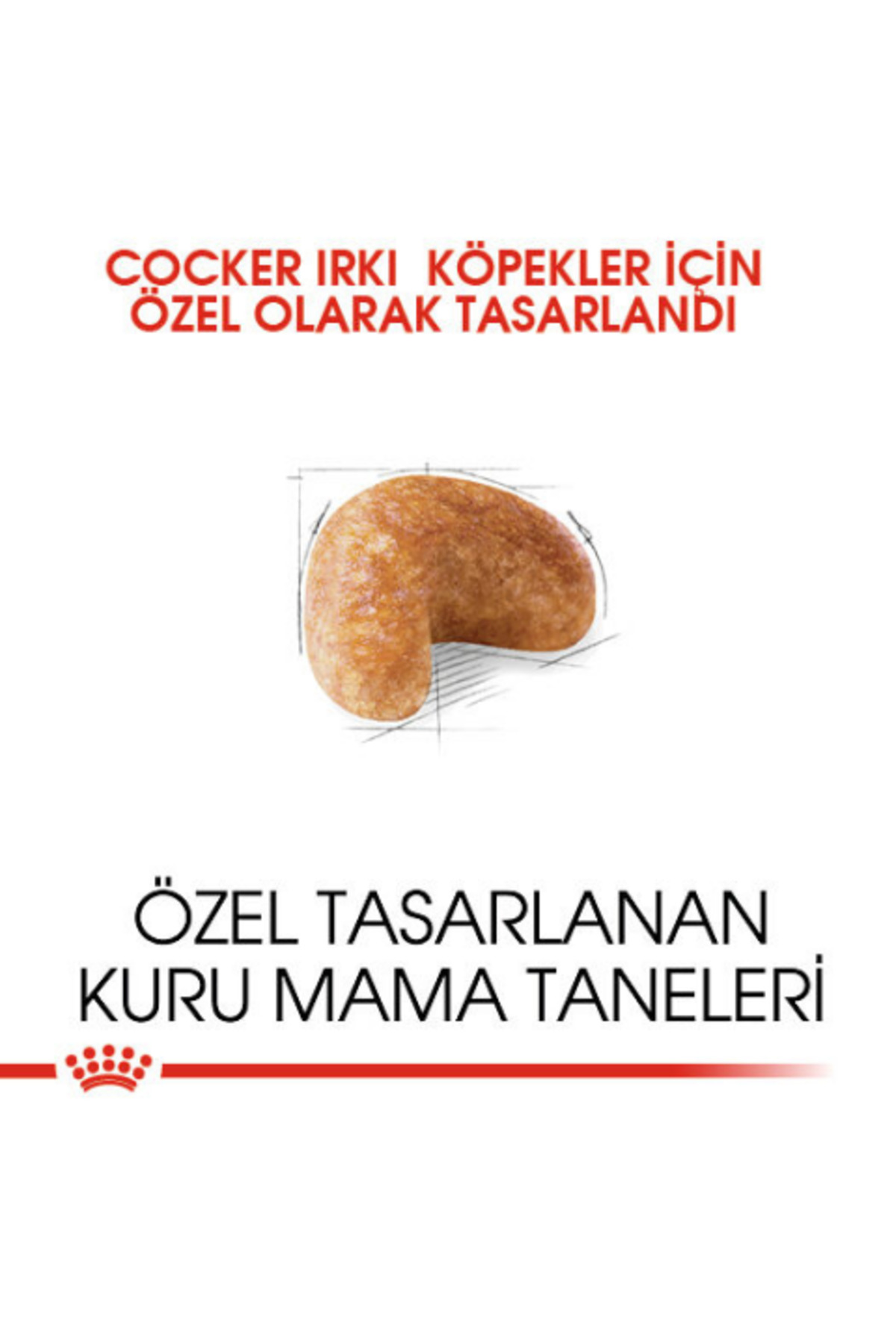 غذای خشک سگ کوکر Cocker Adult، ۳ کیلوگرم؛ رویال کنین Royal Canin