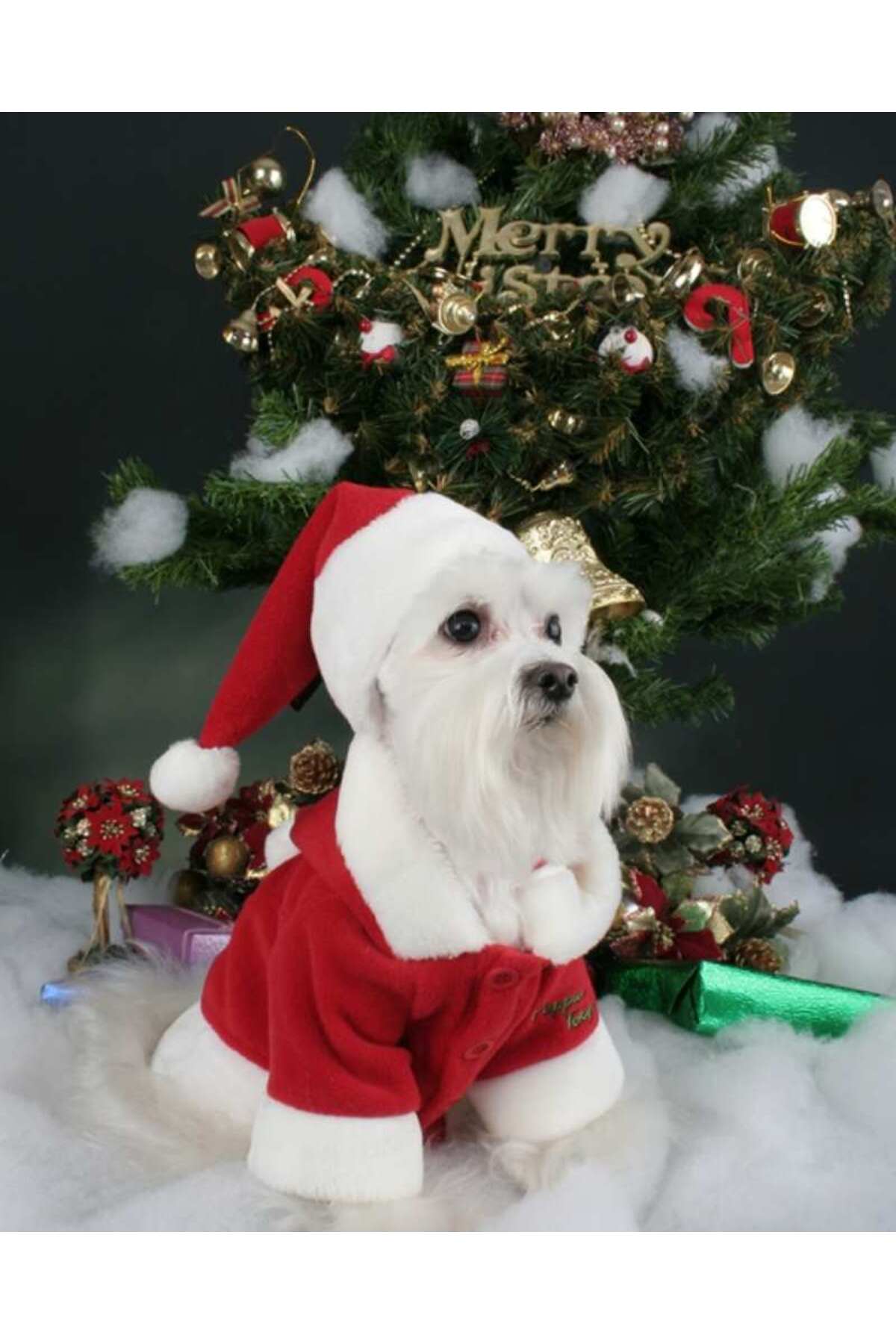لباس سگ پلار قرمز پوپیا Puppia Santa's Hat مدل PDDF-SH23
