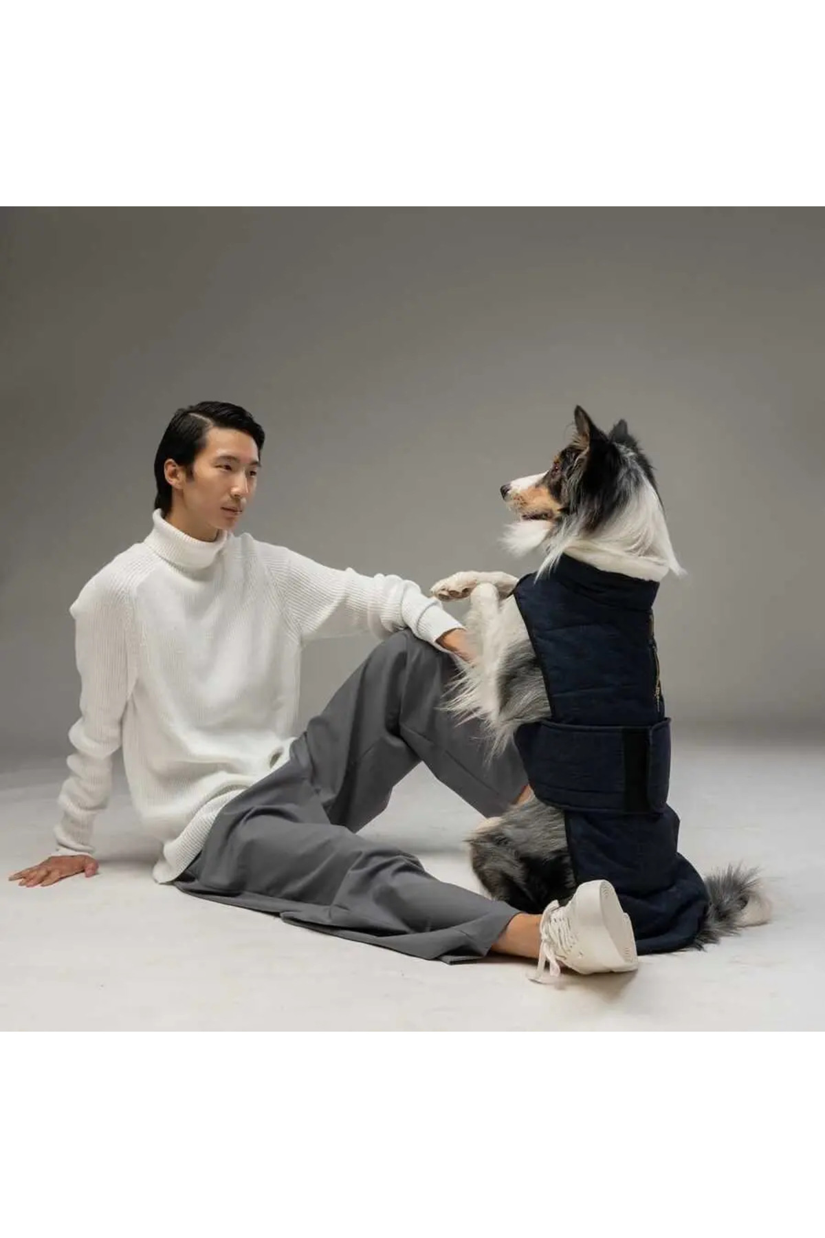 کاپشن سگ لیندو داگز Lindodogs LUXURY PLUS، سرمه‌ای