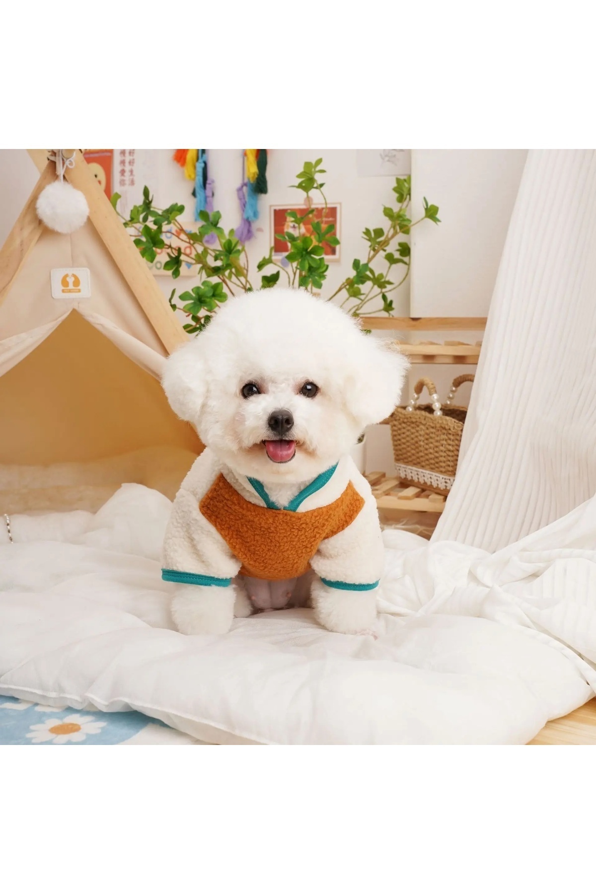 کاپشن پلار سگ دولچه پتس Dolce Pets مدل DP001، نارنجی