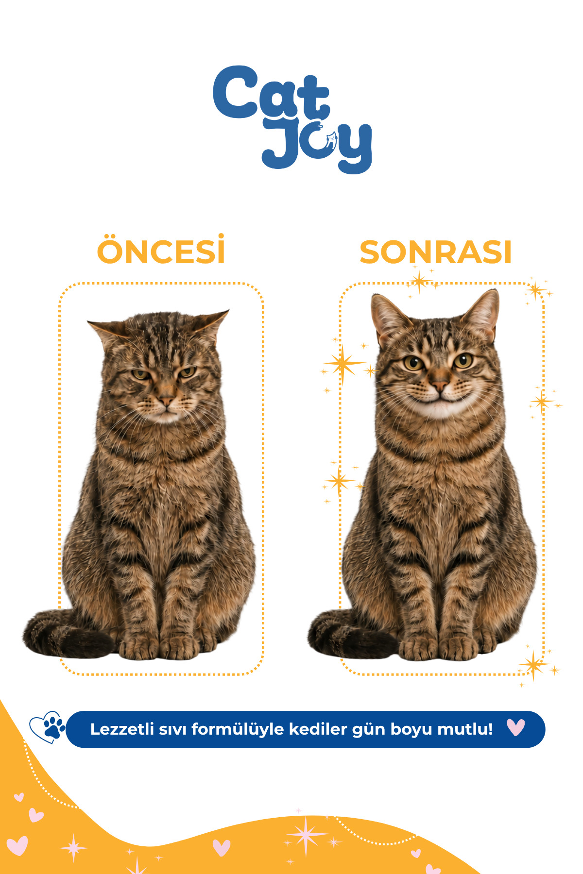 قطره آرام‌بخش ضد استرس سگ و گربه کت‌جوی CATJOY، ۵۰ میلی‌لیتر، مدل CJ-ANTISTRESS-01