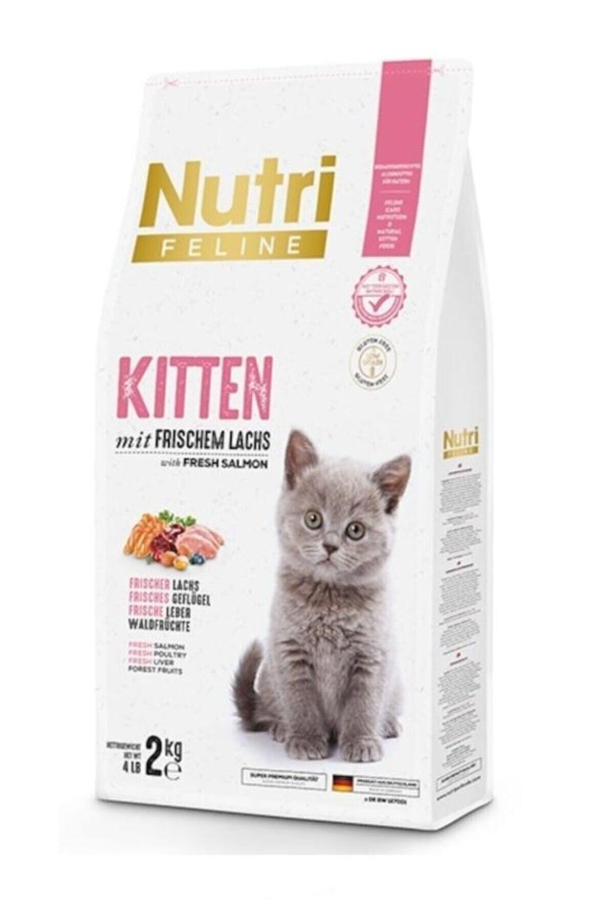 غذای خشک بچه‌گربه نوتری فیلاین Nutri Feline با طعم سالمون، ۲ کیلوگرم