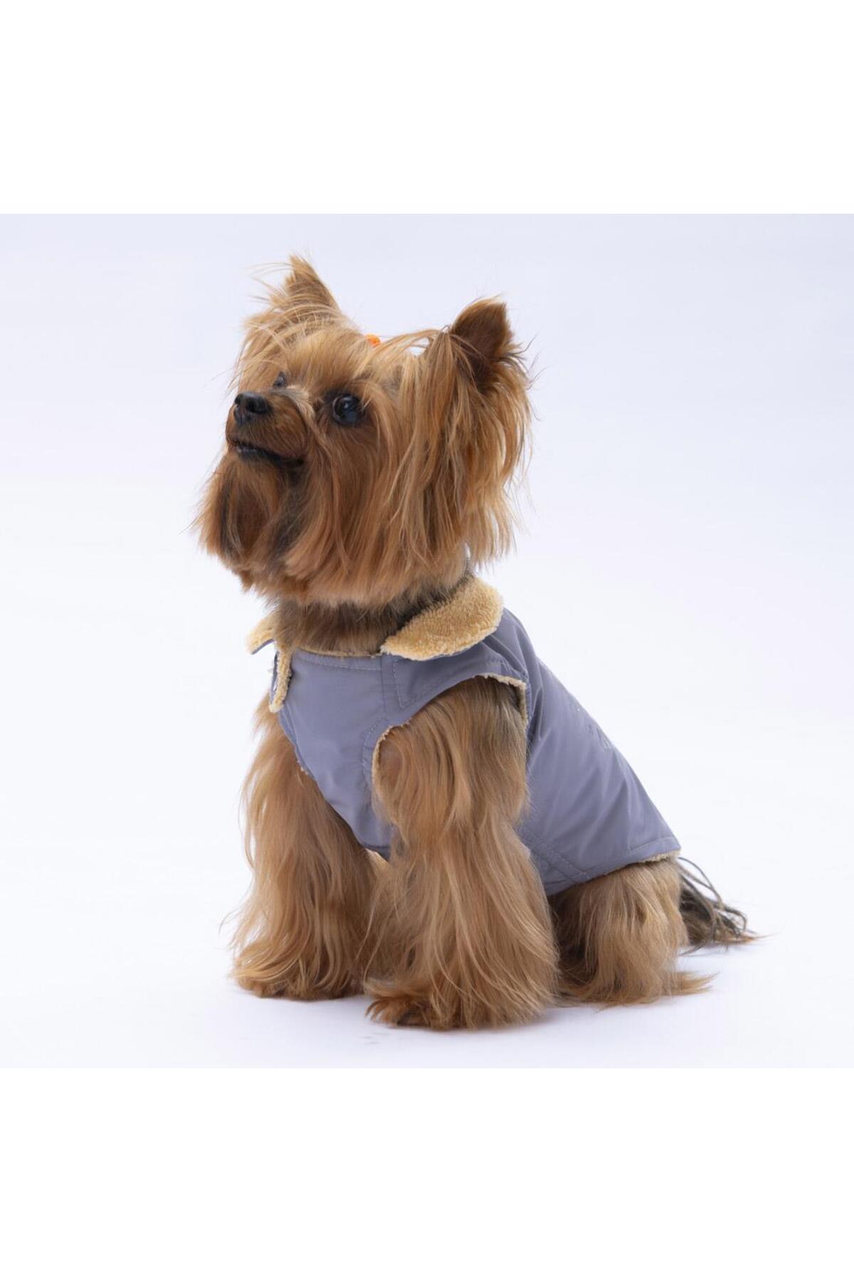 جلیقه بارانی سگ خاکستری پاوستار Pawstar Yukon مدل PS24-1037