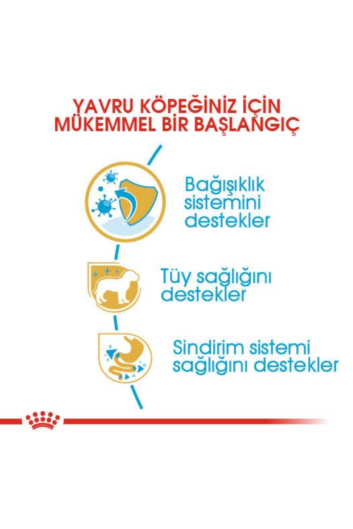 غذای خشک توله‌سگ پودل رویال کنین Royal Canin، ۳ کیلوگرم