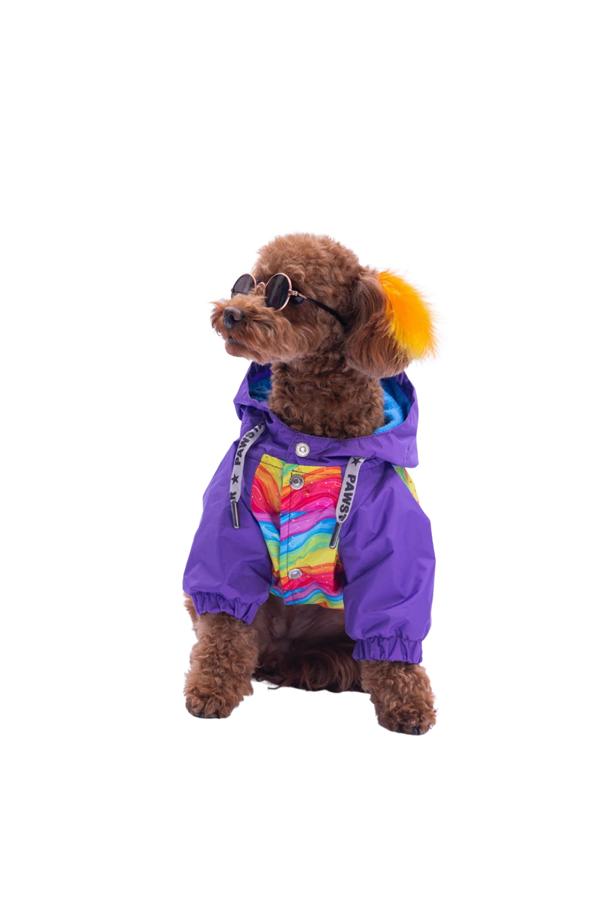 بارانی پلار‌دار سگ و گربه پاوستار Pawstar Rio Rainbow چندرنگ 4Kg