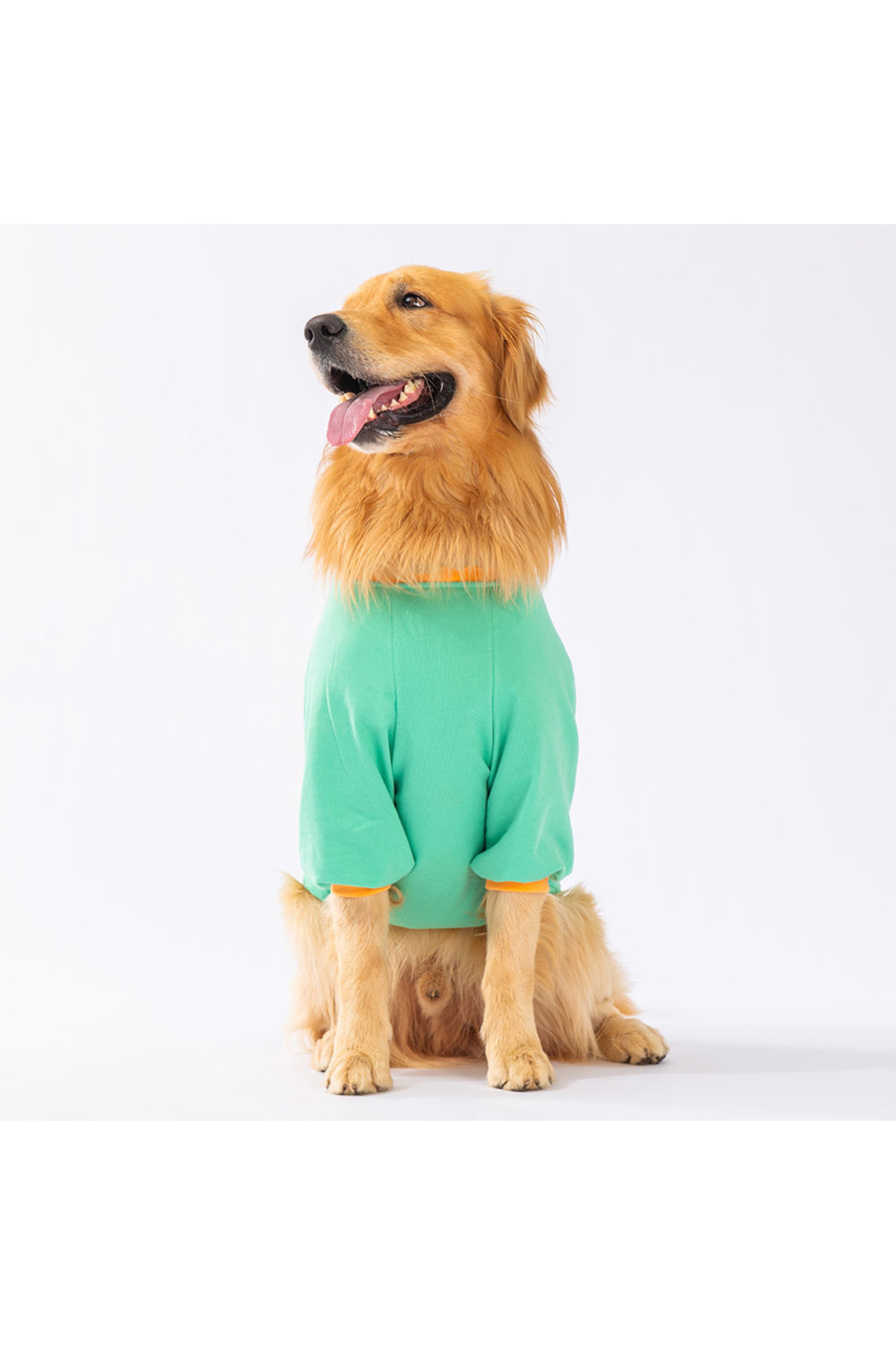 سویشرت سگ پاوستار Pawstar Mint Bone Hunter مدل BH2375 برای نژادهای متوسط و بزرگ سبز