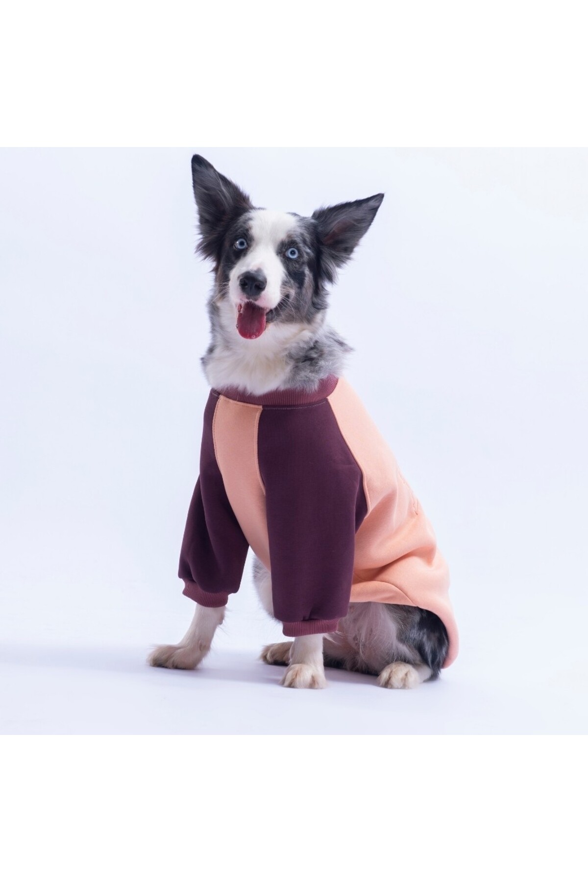 سویشرت سگ پاوستار Pawstar Somon Boston، نارنجی، مناسب نژادهای متوسط تا بزرگ