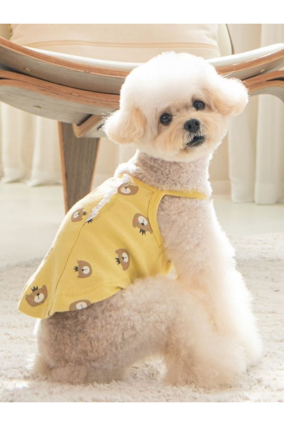 لباس سگ زرد Orsolya پاپیا Puppia