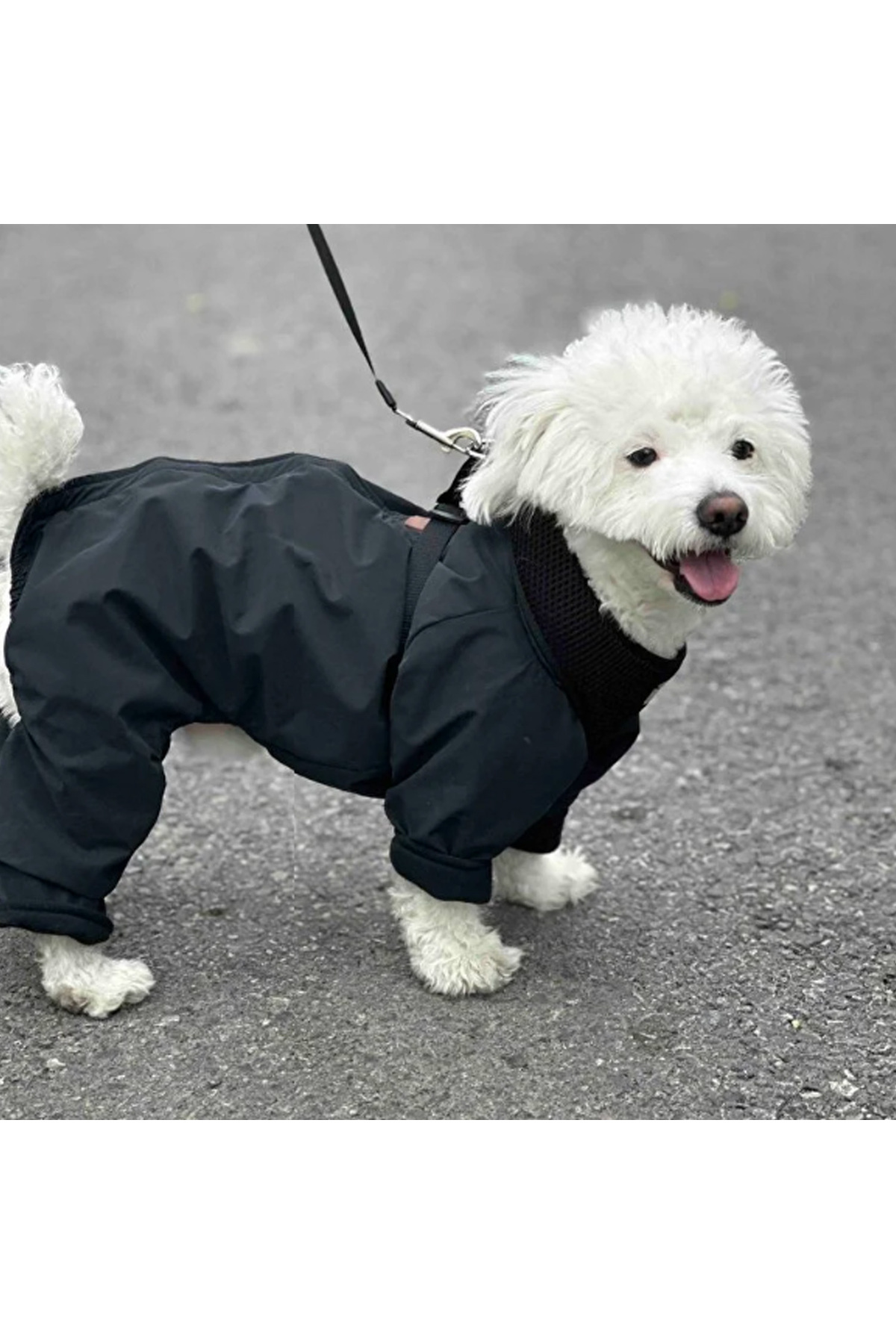 بارانی سرهمی آستردار سگ آلفادگ دیزاین Alphadog Design، مشکی