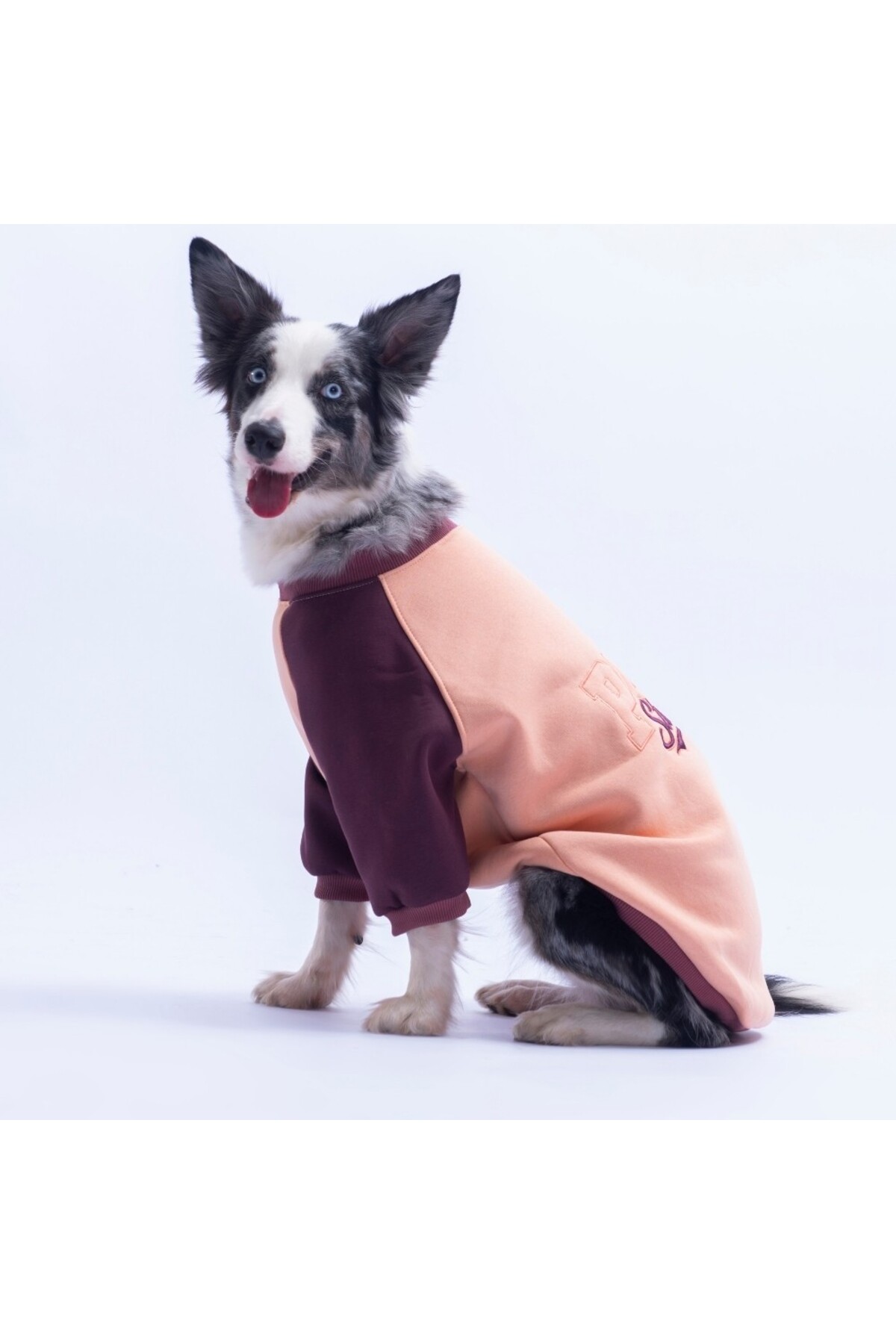سویشرت سگ پاوستار Pawstar Somon Boston، نارنجی، مناسب نژادهای متوسط تا بزرگ