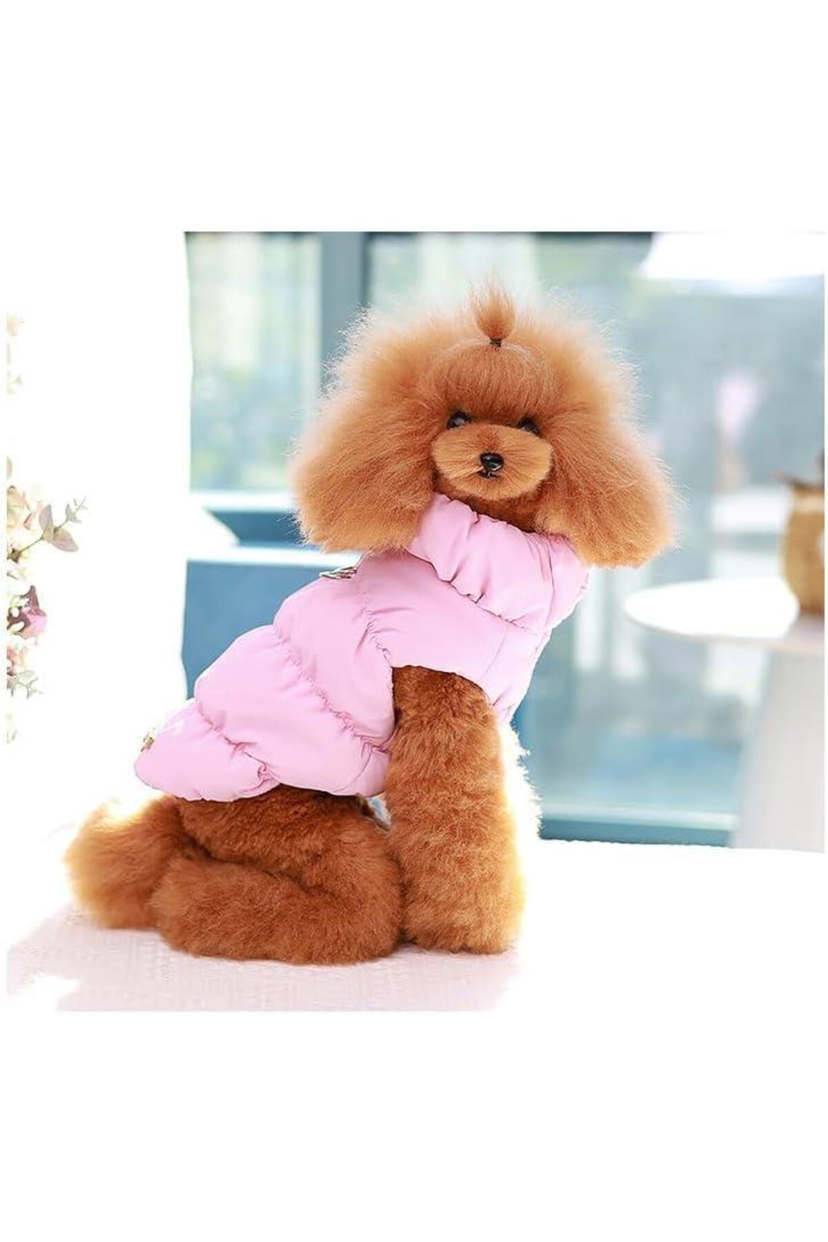کاپشن سگ صورتی چیک‌داگ Chicdog